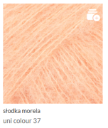 słodka morela.png