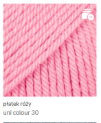 płatek róży.png