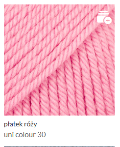 płatek róży.png